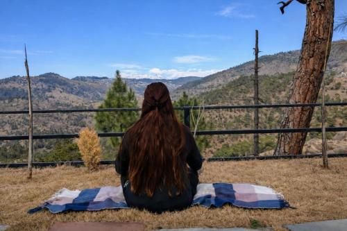 pine country resort