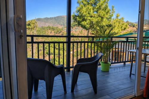 pine country resort