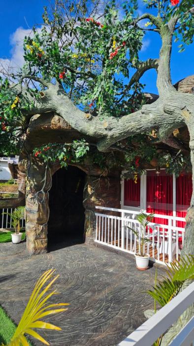 s and b dreams house