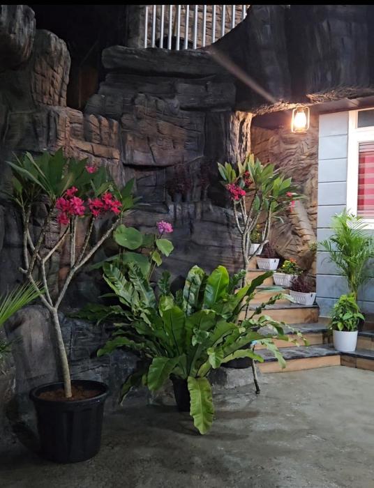s and b dreams house