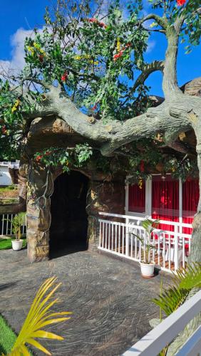 s and b dreams house