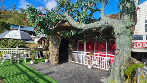 s and b dreams house