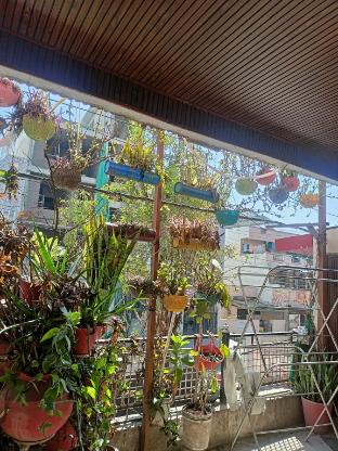 bhopal stay nehru nagar