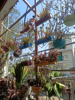 bhopal stay nehru nagar