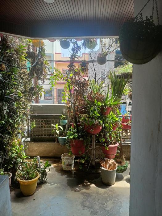 bhopal stay nehru nagar
