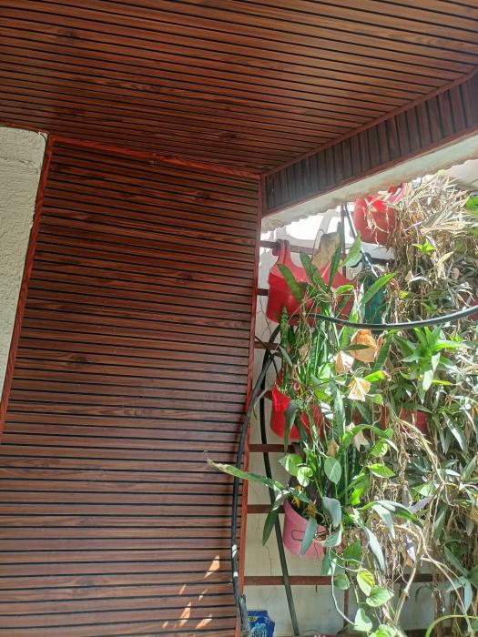 bhopal stay nehru nagar