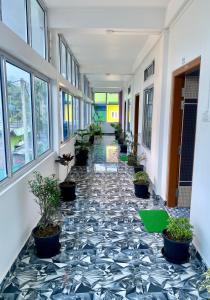 juihal residency and kitchen