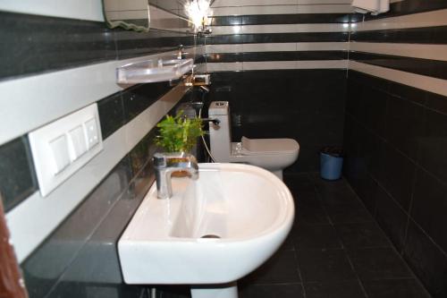 hotel rosh villa