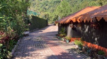 phs kasauli hills