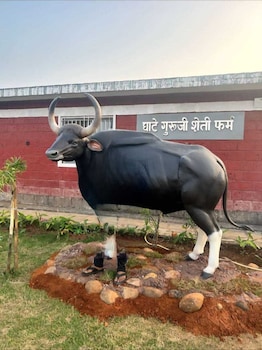 Bison Farm Stay,,2 star