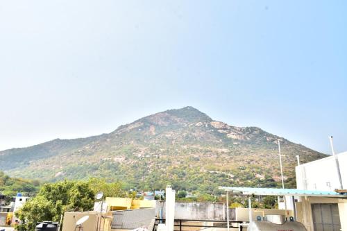 narayani residency