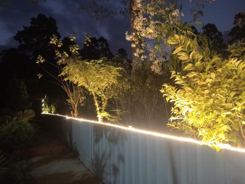 mountainbrew homestay