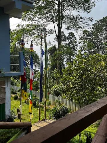 mountainbrew homestay