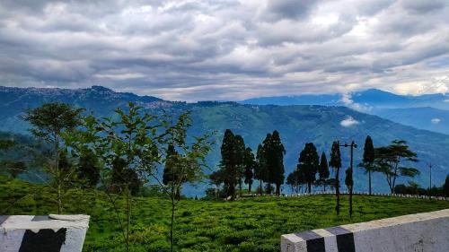 mountainbrew homestay