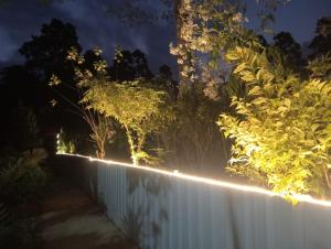 mountainbrew homestay