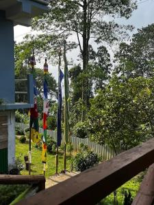 mountainbrew homestay