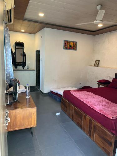 mount abu