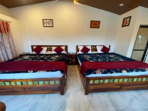 mount abu
