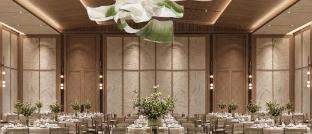 slohh by roach bengaluru curio collection by hilton