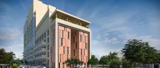 slohh by roach bengaluru curio collection by hilton