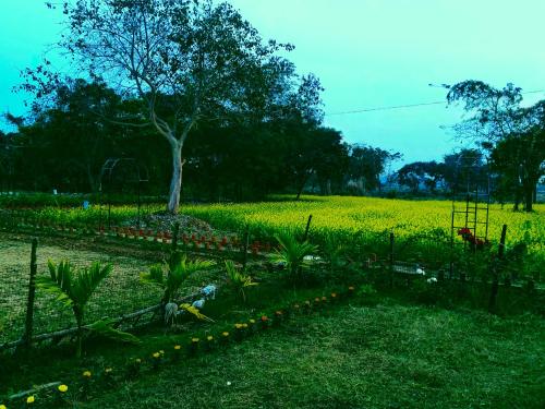 shantiniketan