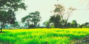 shantiniketan
