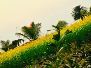 shantiniketan