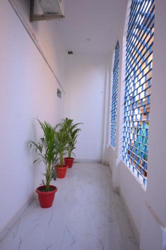 shree shivay stay home