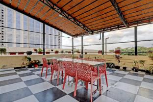 hotel o white rabbit