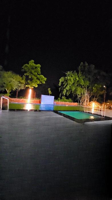 mango farm