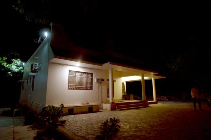 mango farm