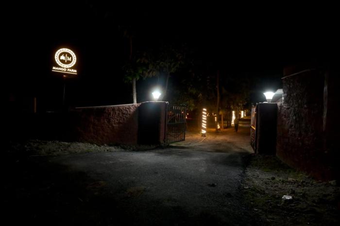 mango farm