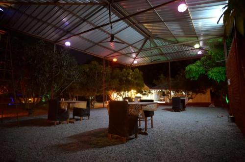 mango farm