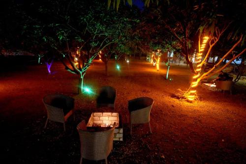mango farm