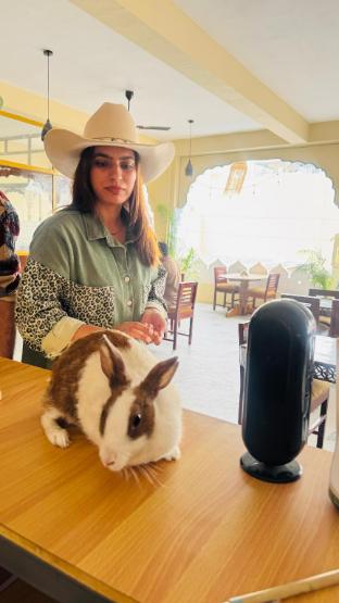 hotel marudhar and restaurant