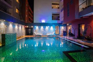 trayee international