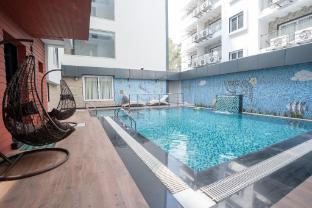 trayee international