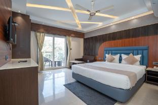 trayee international