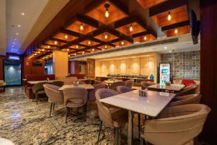 trayee international