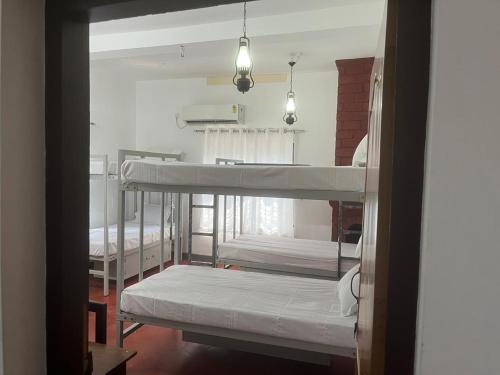 taaraa loca yoga spiritual n dorms