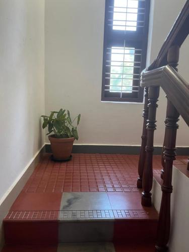 taaraa loca yoga spiritual n dorms