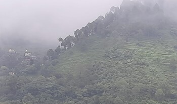 Richa Cottage And Home Stay,,2 star