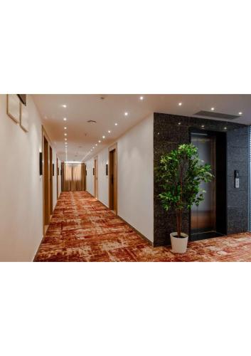 r d hotels bellandur