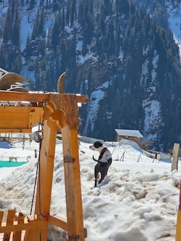vedas homestay waichin valley