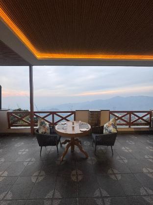 divine oak stay