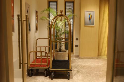 country inn jalandhar