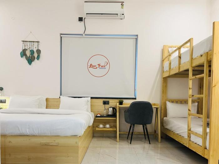 live free hostel dehradun