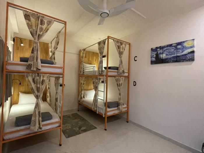 live free hostel dehradun