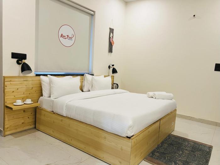 live free hostel dehradun
