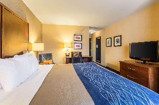 comfort inn